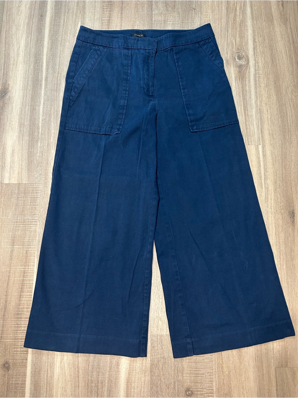 Ann Taylor Factory Navy Trousers